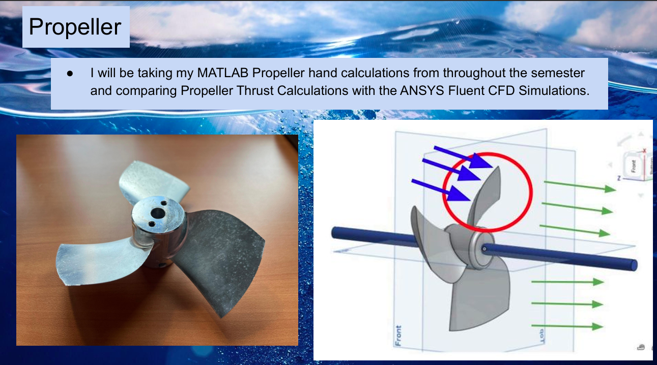 Paddle Boats Image 2